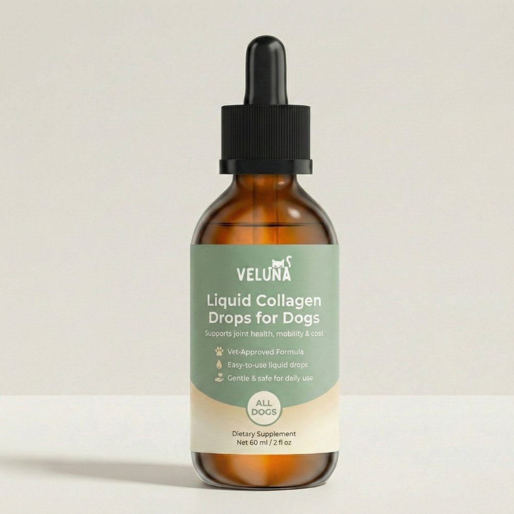 Veluna Πρεμιό Υγρό Κολλαγόνο για Σκύλους