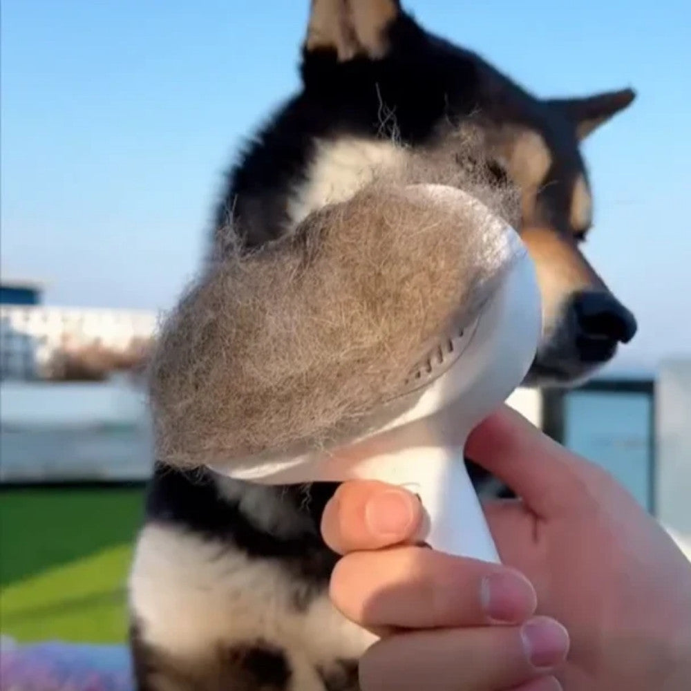 Veluna FreshBrush με Καθαριστικό Σπρέι