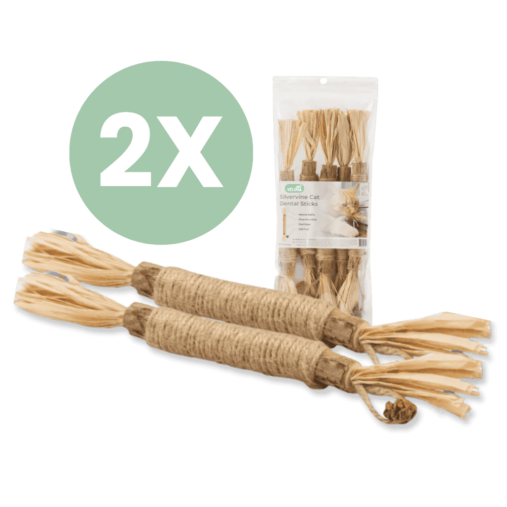 DentaSticks - Οδοντικά Στικ Silvervine για Γάτες