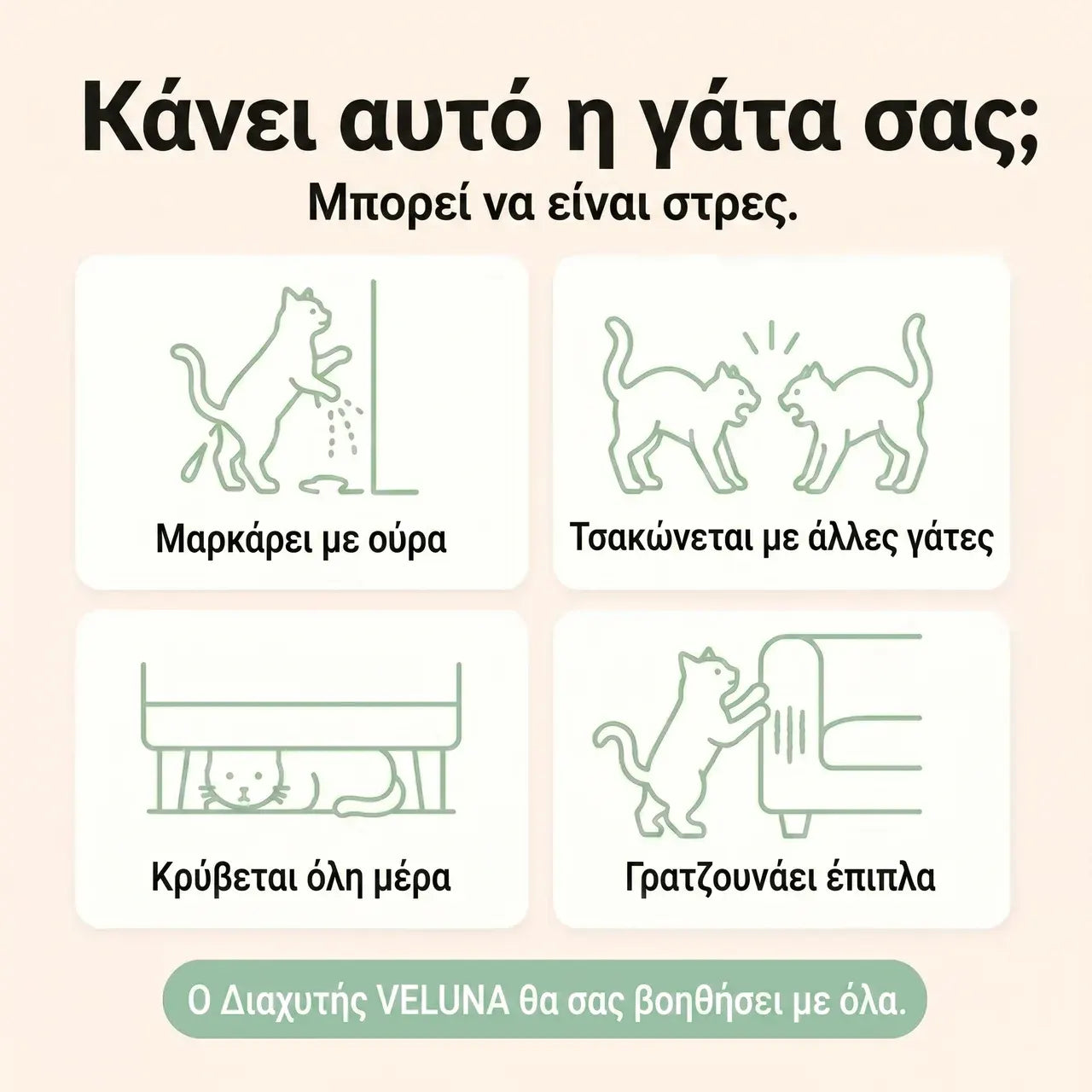 Veluna Διαχυτής Φερομονών για Γάτες