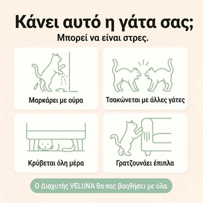 Veluna Διαχυτής Φερομονών για Γάτες