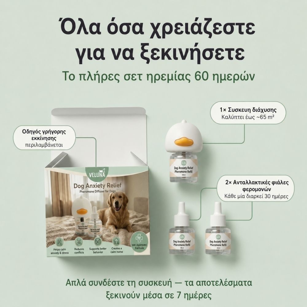 Veluna Διαχυτής Φερομονών για Σκύλους