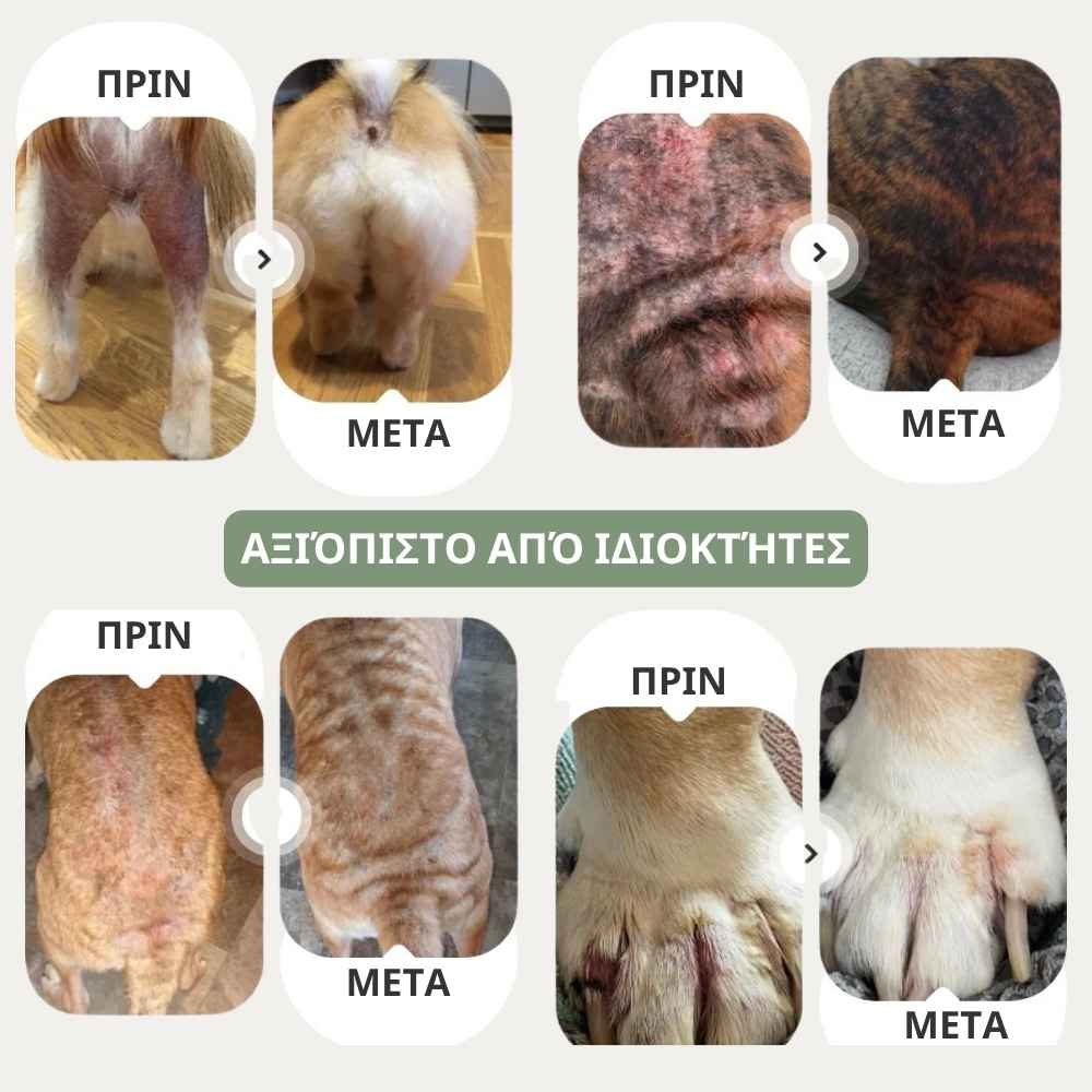 Veluna Spray Ανακούφισης Δέρματος για Σκύλους Εγκεκριμένο από Κτηνίατρο