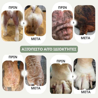 Veluna Spray Ανακούφισης Δέρματος για Σκύλους Εγκεκριμένο από Κτηνίατρο