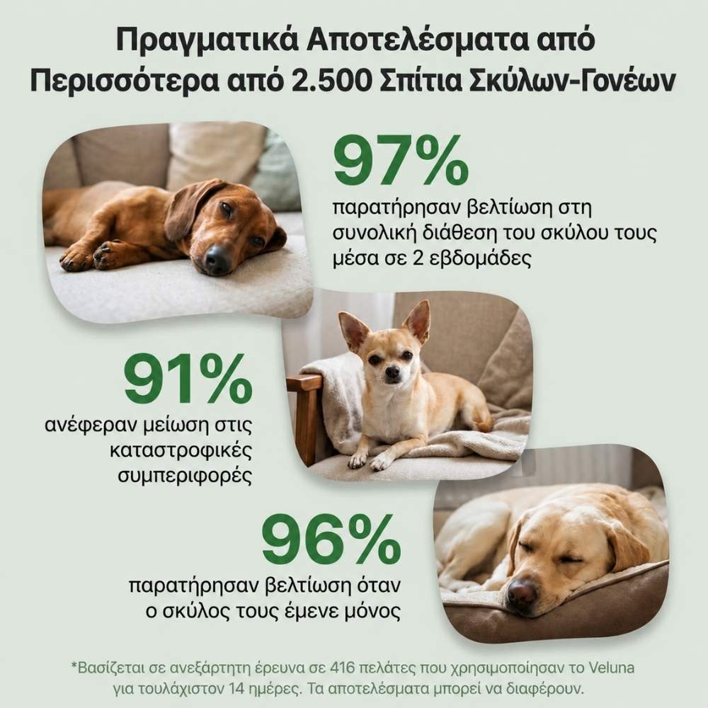 Veluna Διαχυτής Φερομονών για Σκύλους