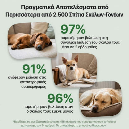 Veluna Διαχυτής Φερομονών για Σκύλους