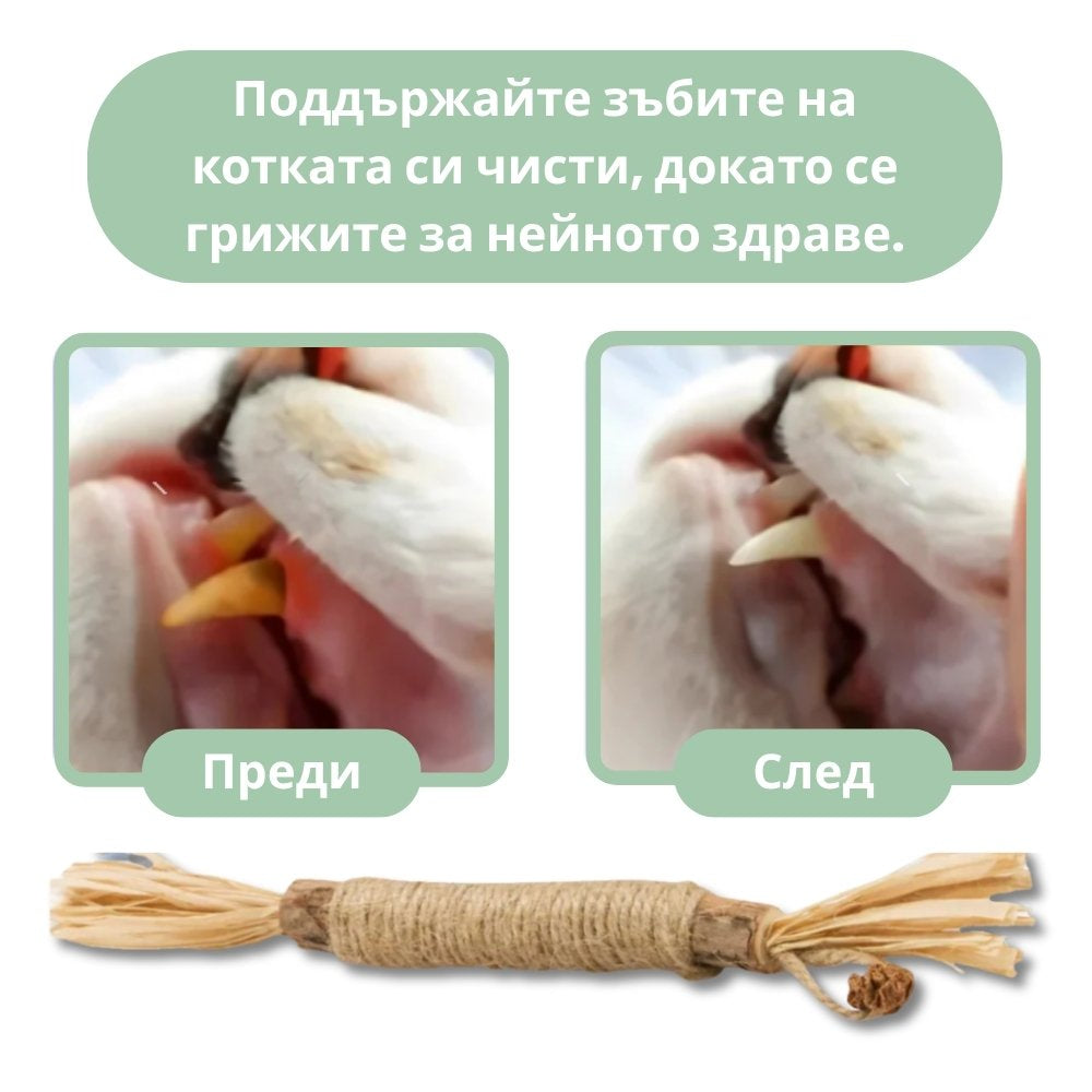 DentaSticks