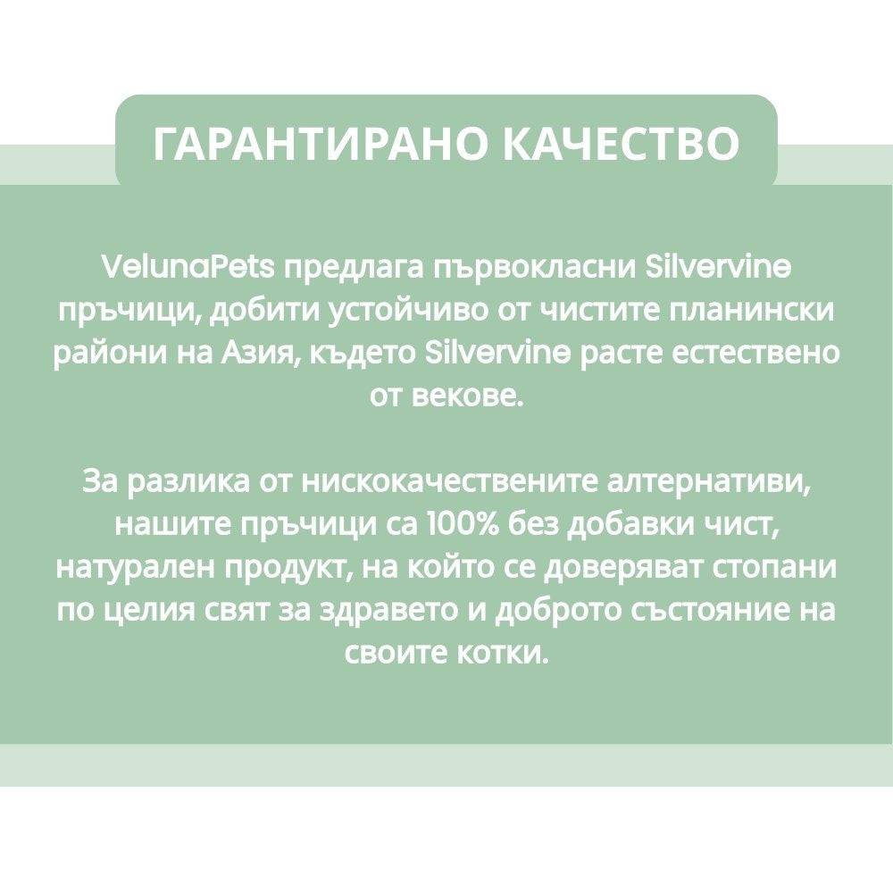 DentaSticks