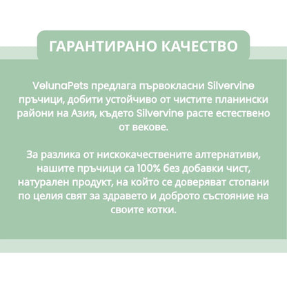 DentaSticks