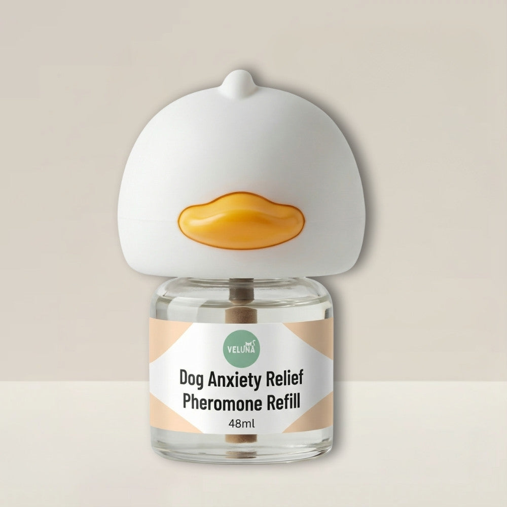 Veluna Διαχυτής Φερομονών για Σκύλους