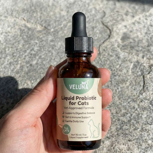 Veluna Προηγμένο Υγρό Προβιοτικό για Γάτες