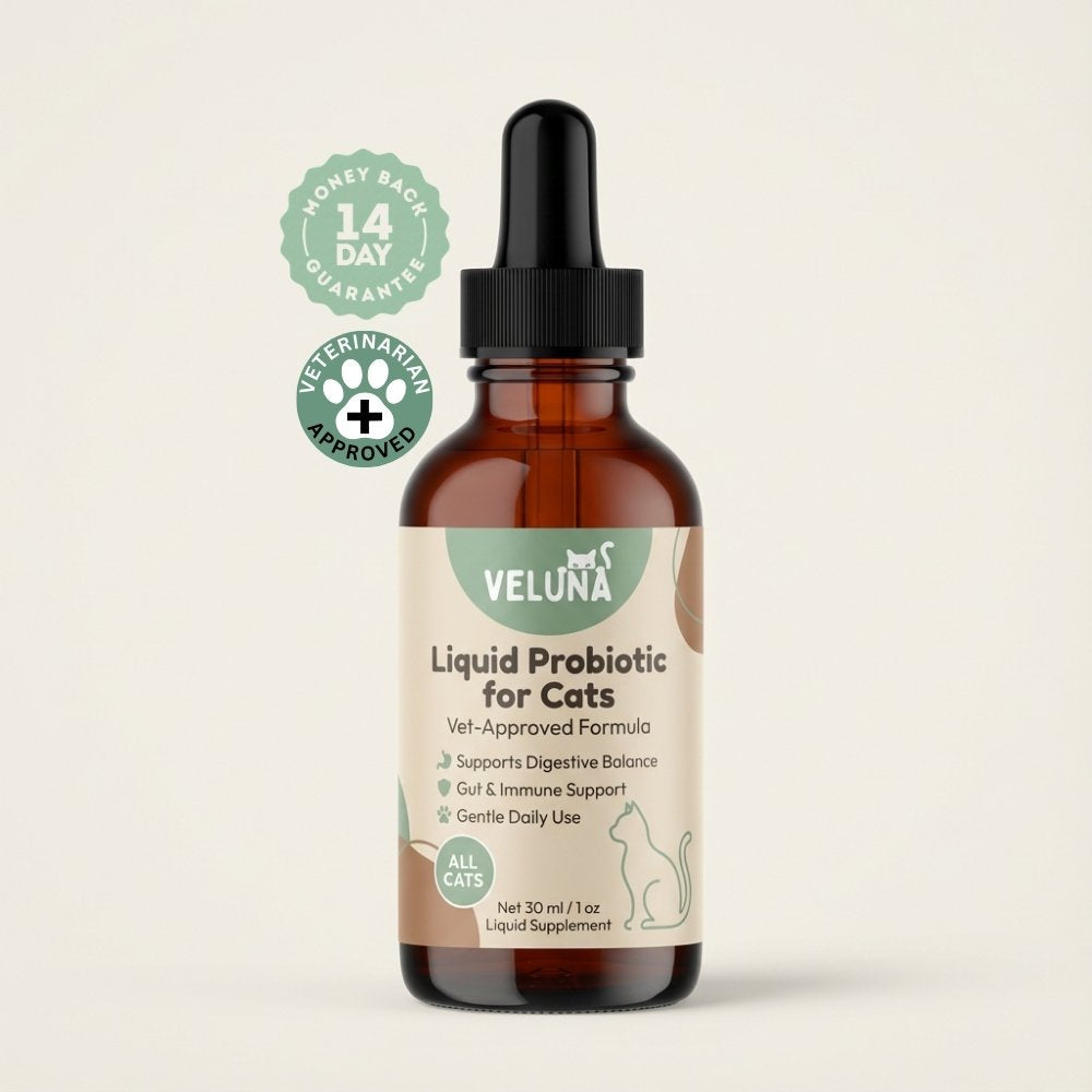 Veluna Προηγμένο Υγρό Προβιοτικό για Γάτες
