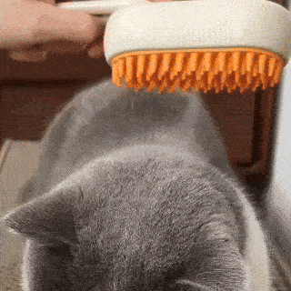 Πολυχρηστική Βούρτσα Ατμού 4‑σε‑1 για γάτες