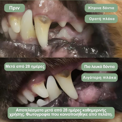 Veluna Οδοντική Σκόνη για Σκύλους