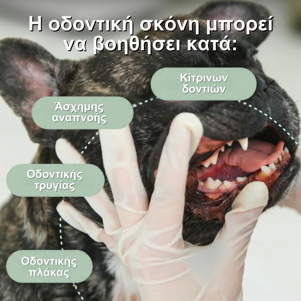 Veluna Οδοντική Σκόνη για Σκύλους