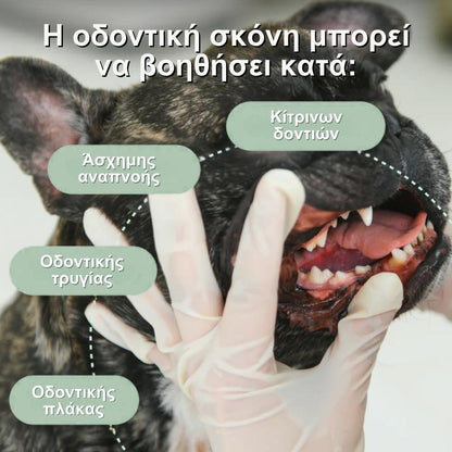 Veluna Οδοντική Σκόνη για Σκύλους