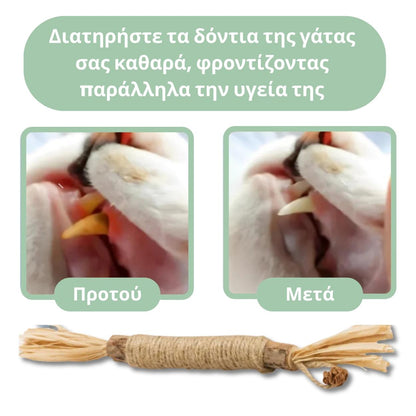 DentaSticks - Οδοντικά Στικ Silvervine για Γάτες