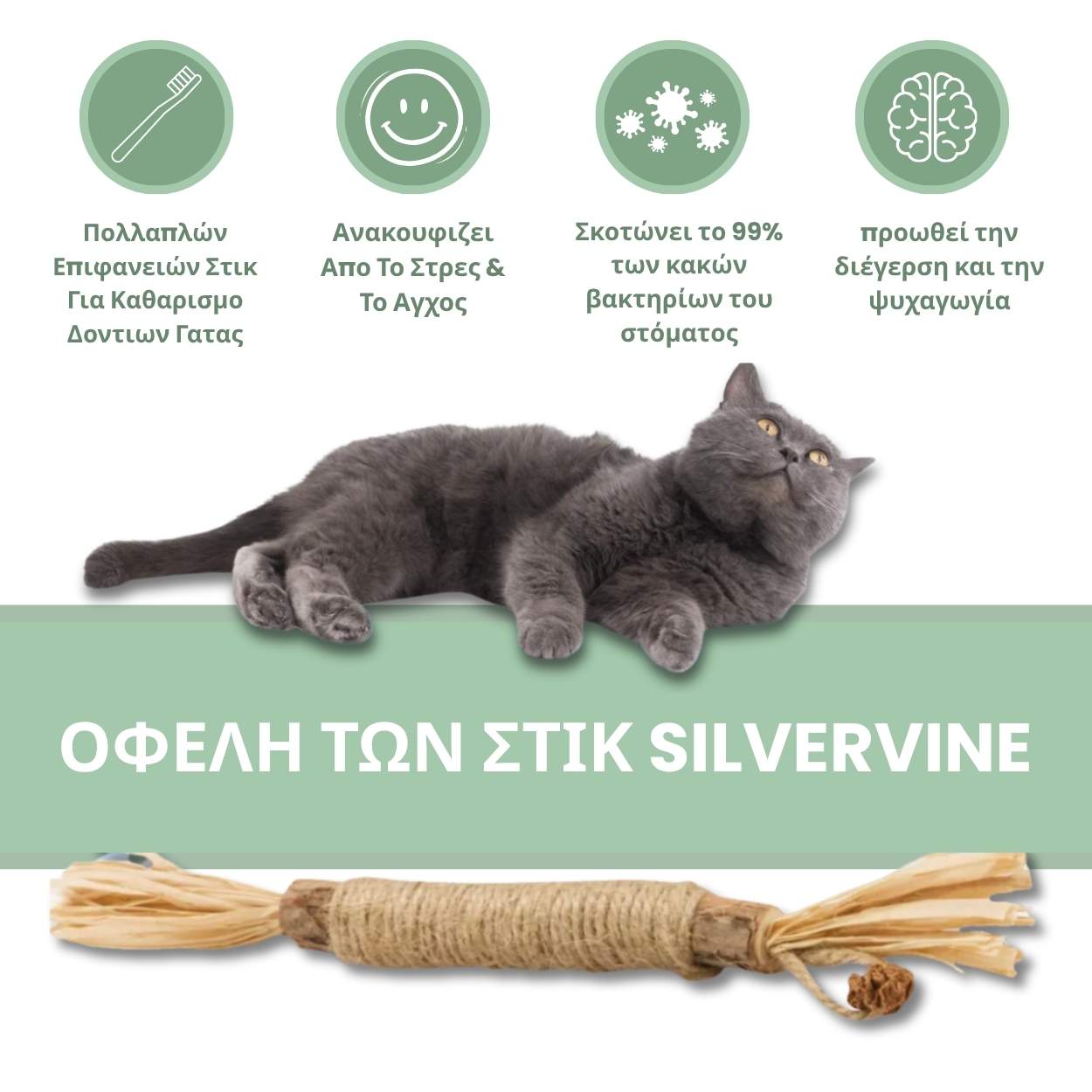 DentaSticks - Οδοντικά Στικ Silvervine για Γάτες