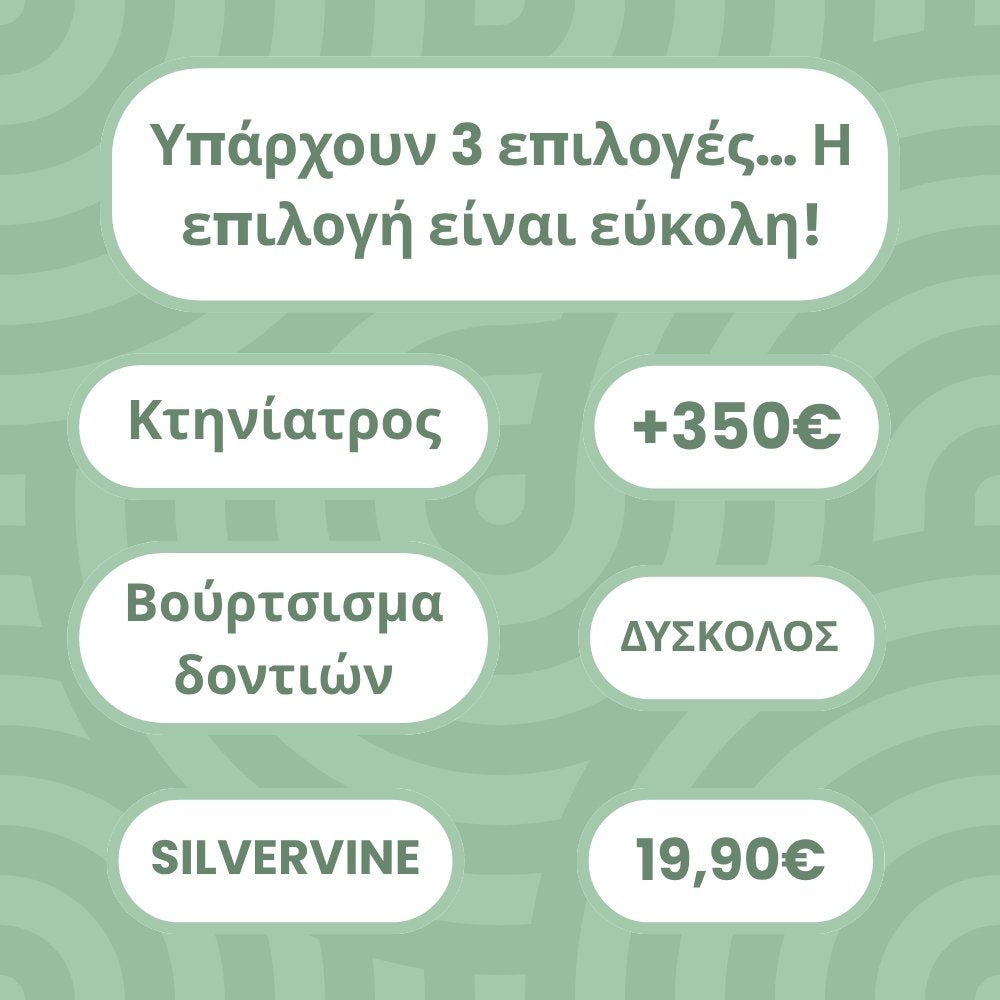 DentaSticks - Οδοντικά Στικ Silvervine για Γάτες