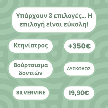 DentaSticks - Οδοντικά Στικ Silvervine για Γάτες