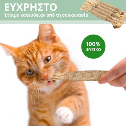 DentaSticks - Οδοντικά Στικ Silvervine για Γάτες