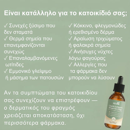 Veluna Πρεμιό Υγρό Κολλαγόνο για Σκύλους