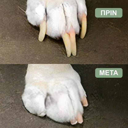 Veluna GroomPro για σκύλους