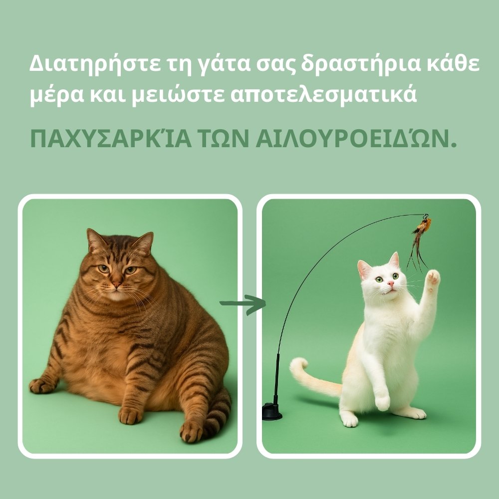 Διαδραστικό παιχνίδι για γάτες, με φτερά, αναρτημένο και αναπηδητικό