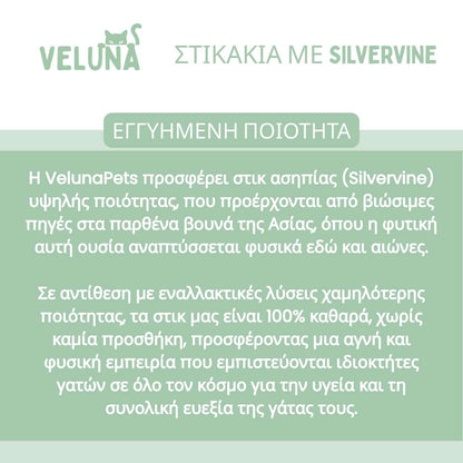 DentaSticks - Οδοντικά Στικ Silvervine για Γάτες