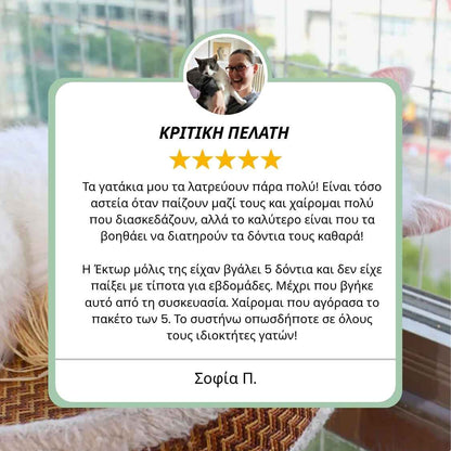 DentaSticks - Οδοντικά Στικ Silvervine για Γάτες