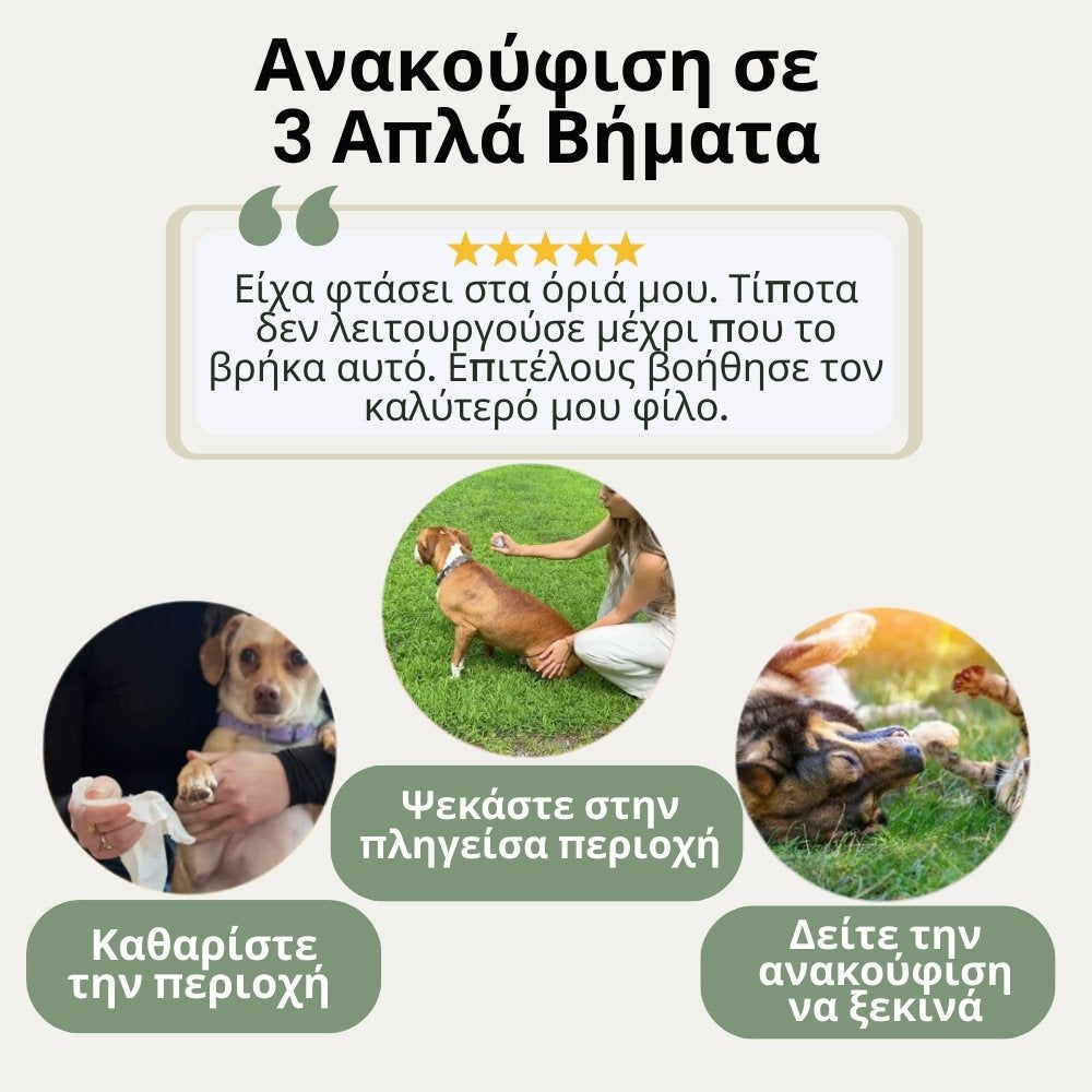 Veluna Spray Ανακούφισης Δέρματος για Σκύλους Εγκεκριμένο από Κτηνίατρο
