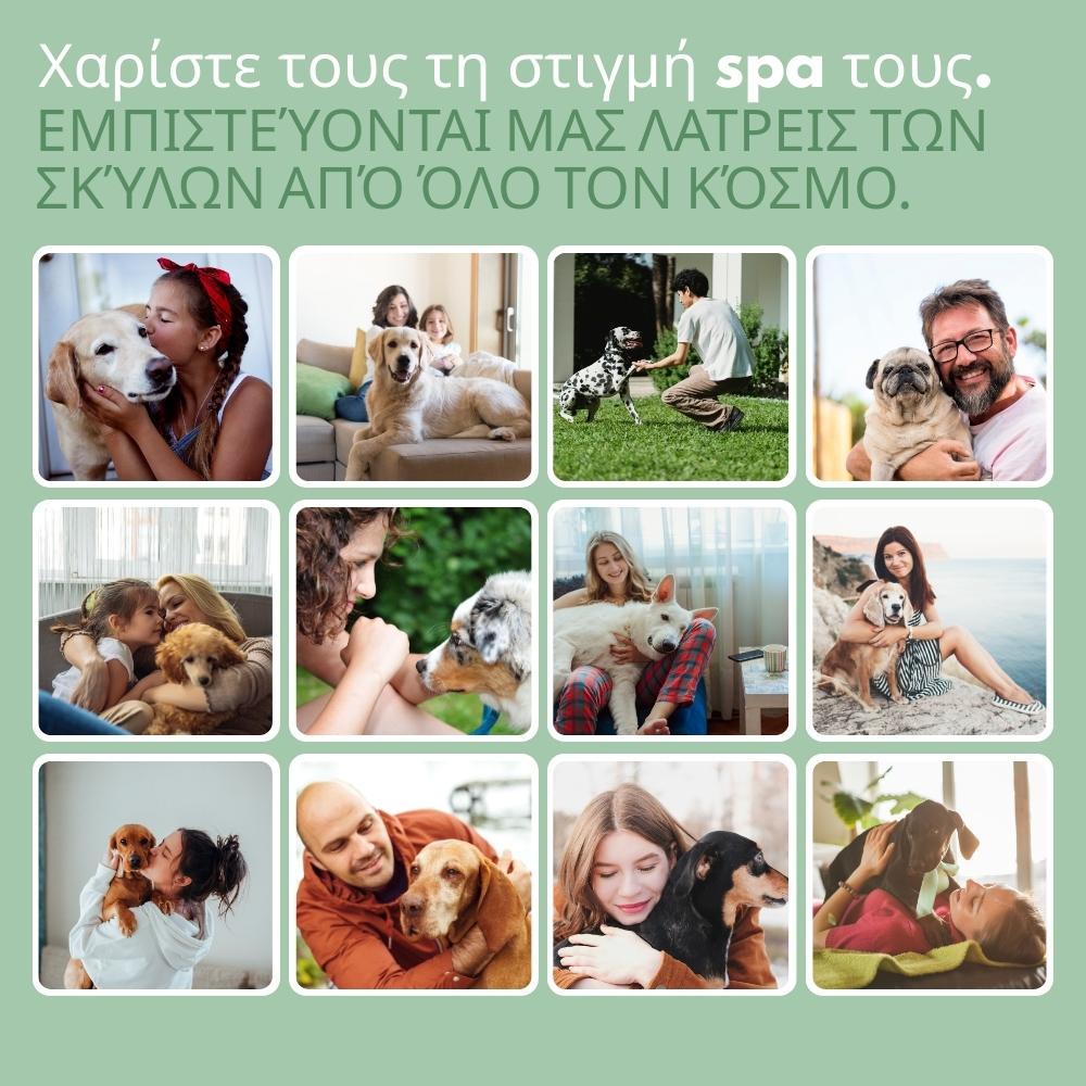 Veluna Steam Brush για Σκύλους