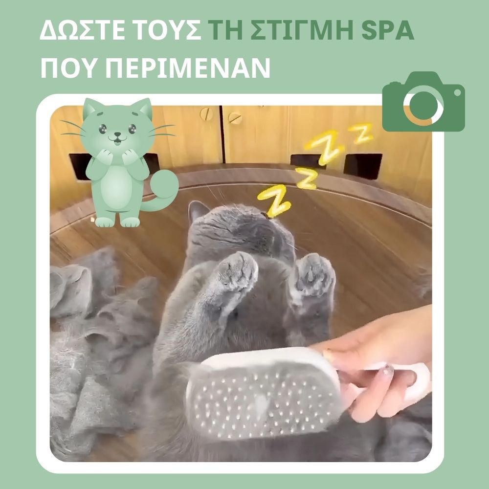 Πολυχρηστική Βούρτσα Ατμού 4‑σε‑1 για γάτες