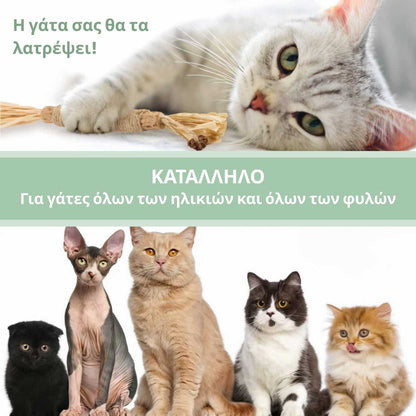 DentaSticks - Οδοντικά Στικ Silvervine για Γάτες