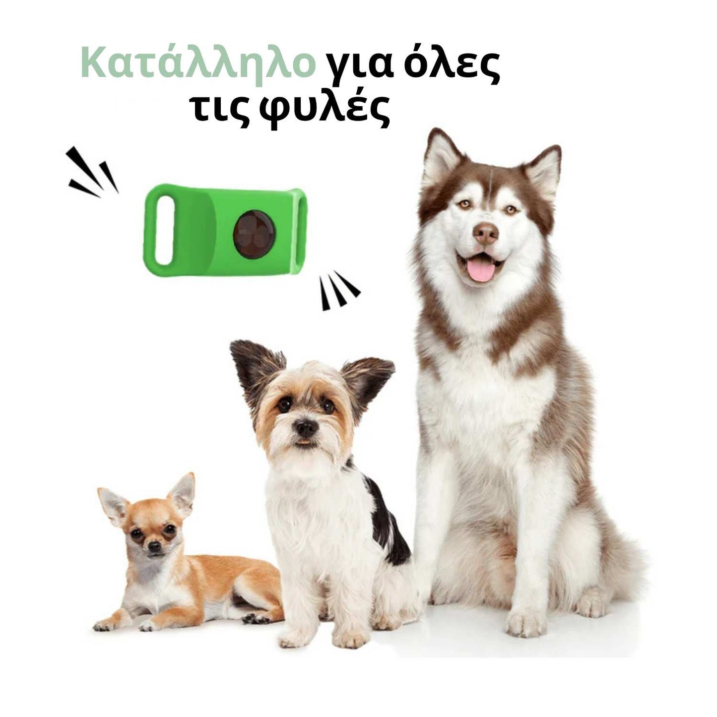 Περιλαίμιο Veluna κατά των Ψύλλων και Τσιμπουριών