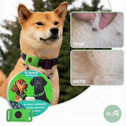 Περιλαίμιο Veluna κατά των Ψύλλων και Τσιμπουριών