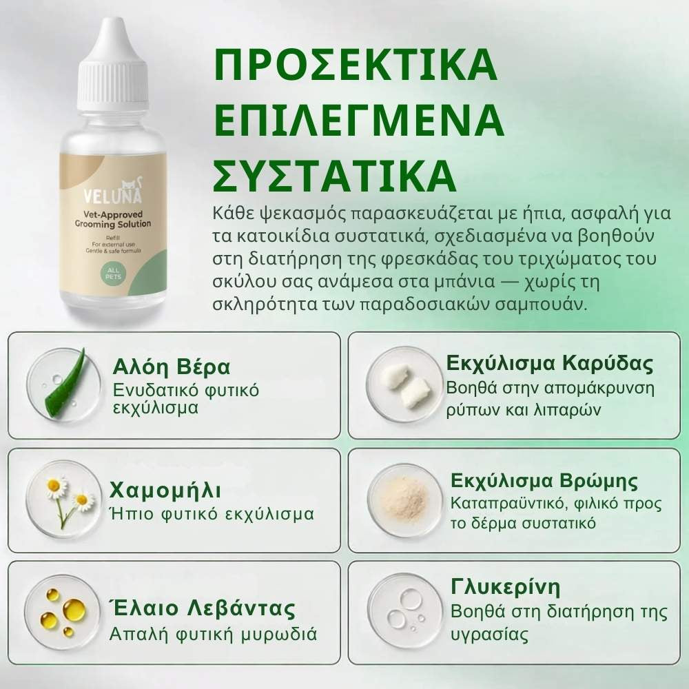 Veluna FreshBrush με Καθαριστικό Σπρέι