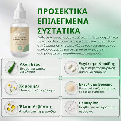 Veluna FreshBrush με Καθαριστικό Σπρέι