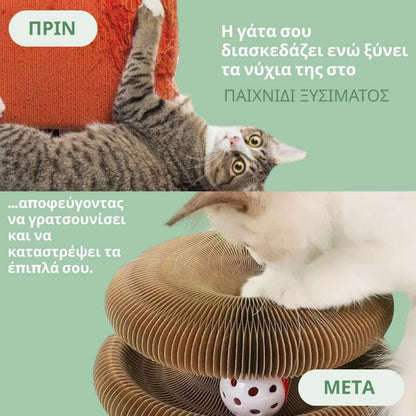 Διαδραστικό ξυστράκι γάτας με μπάλα συμπεριλαμβανόμενη