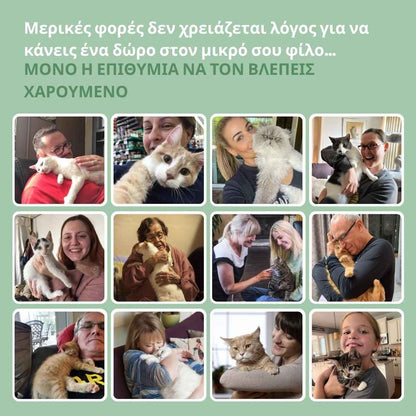 Διαδραστικό ξυστράκι γάτας με μπάλα συμπεριλαμβανόμενη