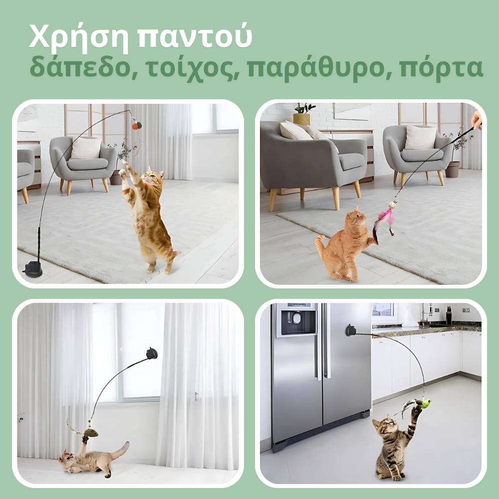 Διαδραστικό παιχνίδι για γάτες, με φτερά, αναρτημένο και αναπηδητικό