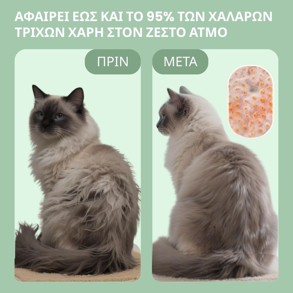 Πολυχρηστική Βούρτσα Ατμού 4‑σε‑1 για γάτες