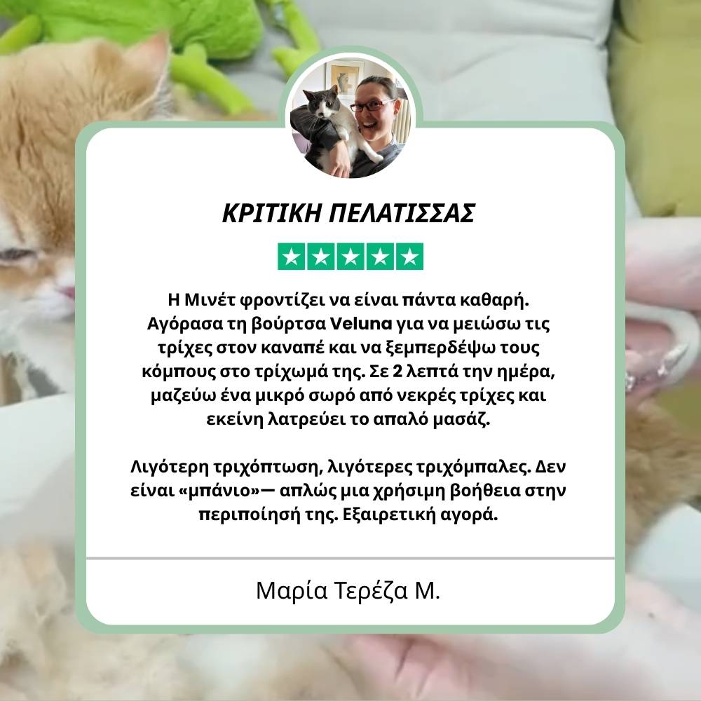 Πολυχρηστική Βούρτσα Ατμού 4‑σε‑1 για γάτες