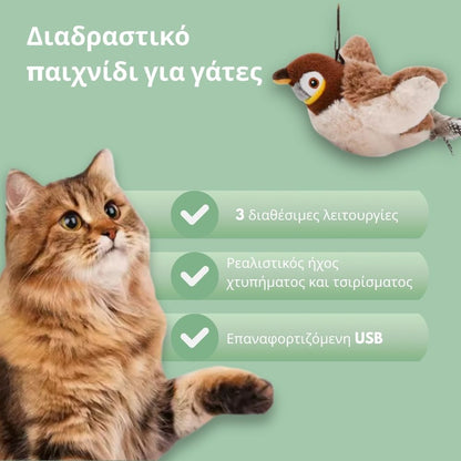 Διαδραστικό παιχνίδι πουλί για γάτες