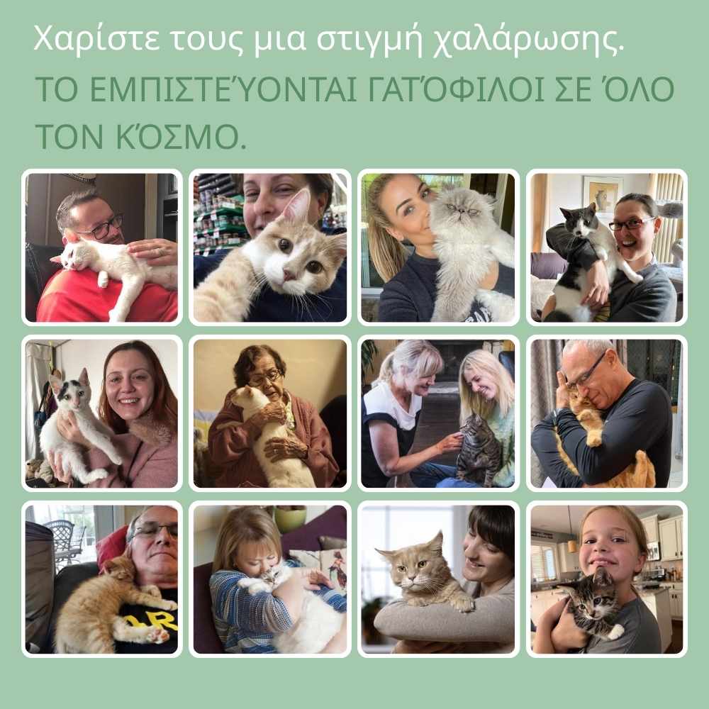 Πολυχρηστική Βούρτσα Ατμού 4‑σε‑1 για γάτες