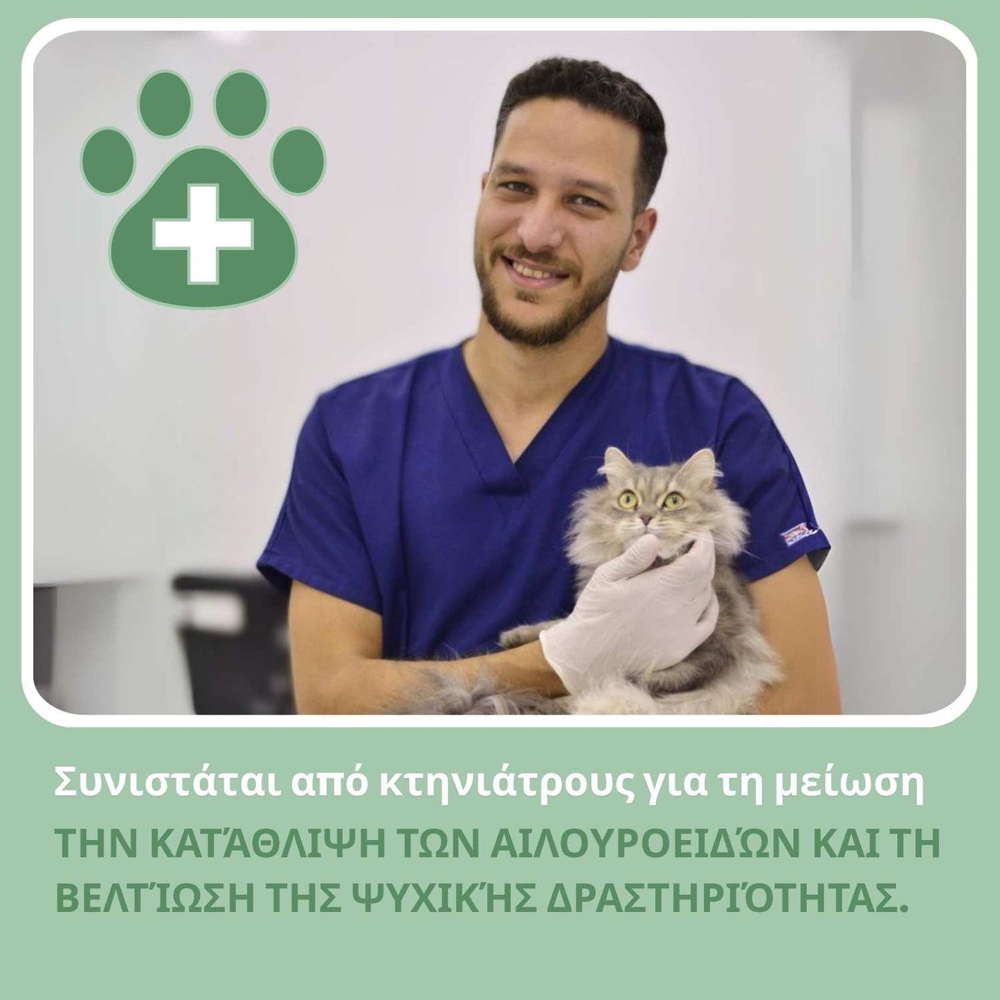 Διαδραστικό ξυστράκι γάτας με μπάλα συμπεριλαμβανόμενη