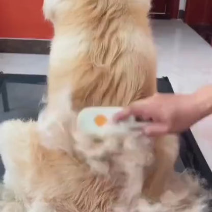 Veluna Steam Brush για Σκύλους